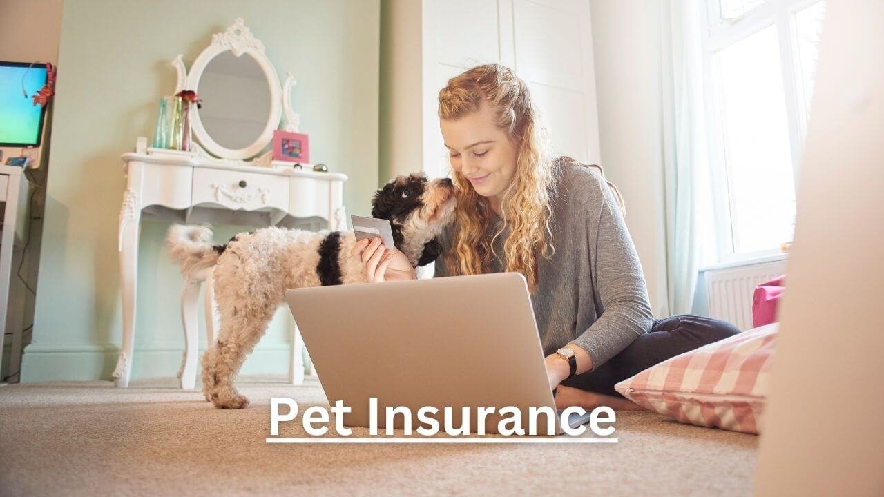 Pet Insurance: Protecting Your Pets and Your Wallet